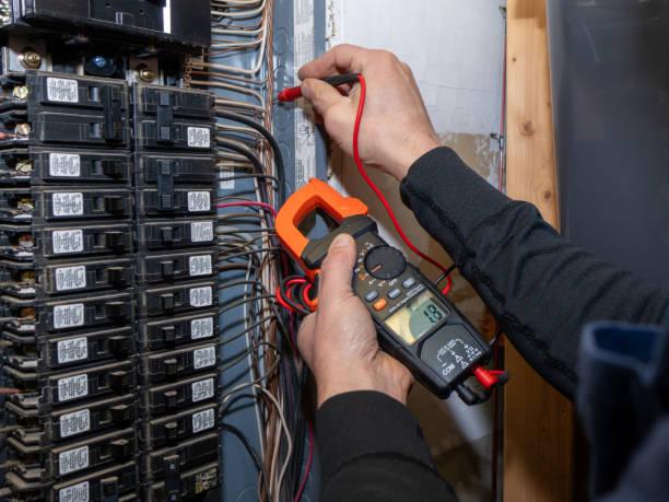 Best Licensed Electrician  in Manistee, MI